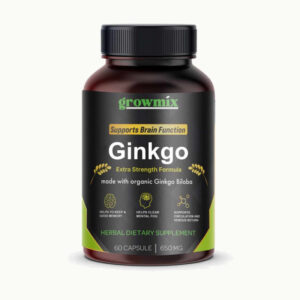 Ginkgo Biloba 650mg 60 capsules Growmix